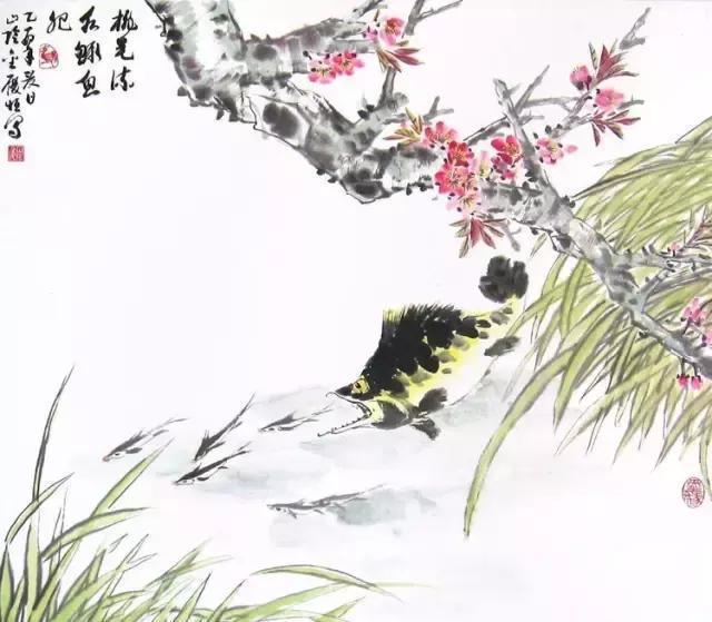 臭桂鱼、松鼠桂鱼、清蒸桂鱼用的桂鱼竟然是它