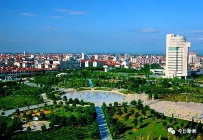 ​520，我爱你！来新洲吧，我养你