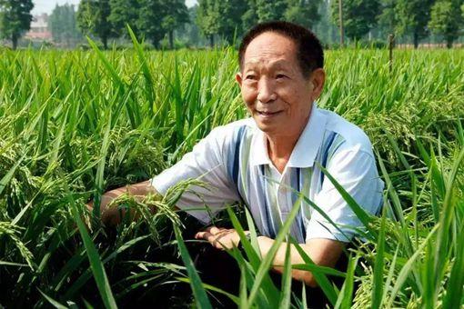 能被称得上国士无双的人有哪些