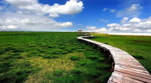 内蒙古有很多的大草原，你知道几个？