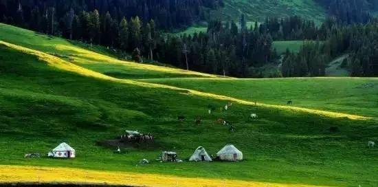 内蒙古有很多的大草原，你知道几个？