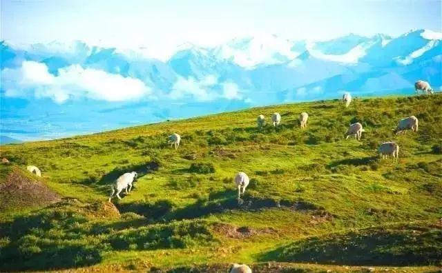 内蒙古有很多的大草原，你知道几个？