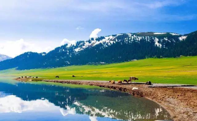 内蒙古有很多的大草原，你知道几个？