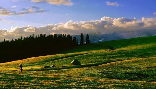 内蒙古有很多的大草原，你知道几个？