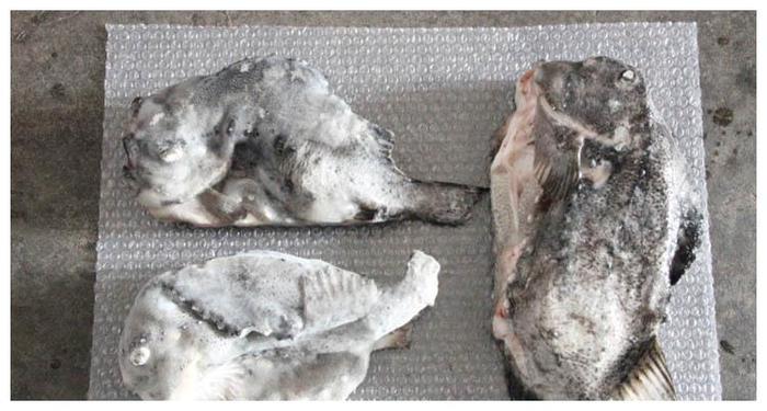 卖海鱼的老板：这2种冰冻鱼不要买，我们自己都不吃的