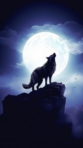 ​【狼图腾】月下狼嚎，发自强者内心的呼唤