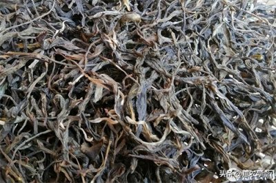 ​白茶价格一斤多少钱？各地市场行情汇总查看！