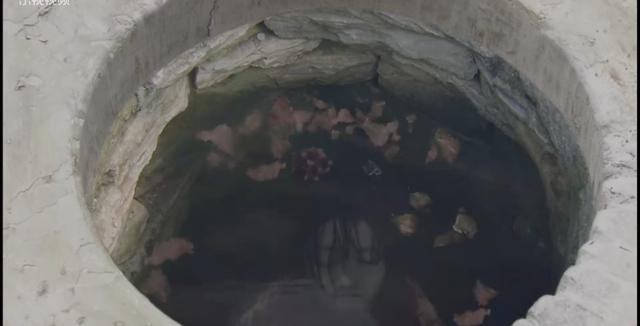 甄嬛传：福子是怎么死的