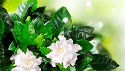 ​趣知识：汉朝刺史太守州牧东汉末年改刺史为州牧