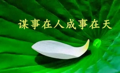 ​谋事在人，成事在天:人生的智慧与哲学