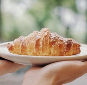 ​怎么消灭家里蚂蚁：实用家居消蚁秘籍大公开