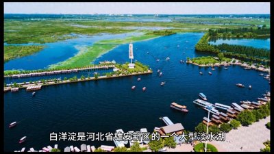 ​一座大观园·白洋淀