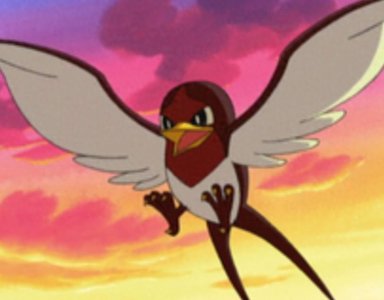 ​《宝可梦》来源与生态：从傲骨燕到大王燕，贯彻毅力的鸟类精灵！