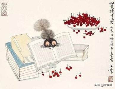 ​365句经典俗语、谚语、老话，口口相传，历久弥新，愈显香醇