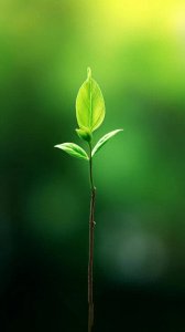 ​养生就是养阳气