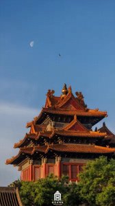 ​故宫壁纸上新啦！一起欣赏，收藏美好