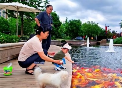 ​养锦鲤为什么要放盐？