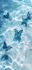 ​2024年开运招财壁纸第二弹！