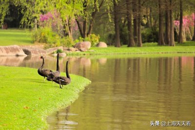 ​上海清竹园墓园：远古华夏信仰与现代都市的交融之地