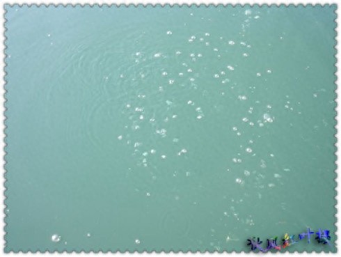 茈碧湖：洱海之源，湖中还有会“走”的“水花树”