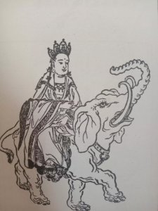 ​菩萨之十二__普贤菩萨