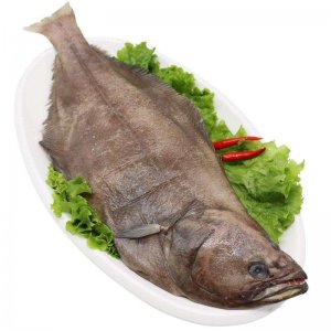 ​胶东酱焖碟鱼头，酱香浓郁，鲜美细嫩，制作配方首次公开