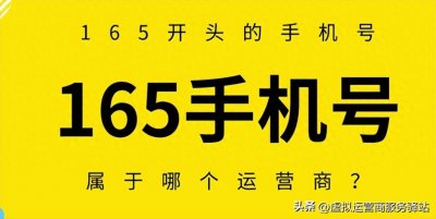 ​深入了解165号段：虚拟运营商的新领地