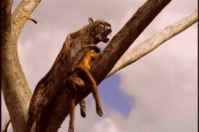 ​人类祖先的天敌恐猫