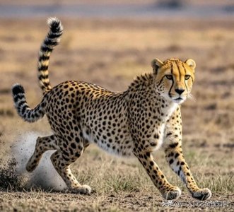 ​赚钱该怎么开始？