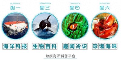 ​「生物百科」在海水中“自由飞翔”的浪漫“歌者”——座头鲸