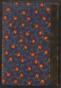 ​古人是如何打通任督二脉的？看看清代道教的秘籍金仙论证如何记载