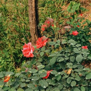 ​忠恕之道说来简单做起不易，从这两个细节下手或许并不难