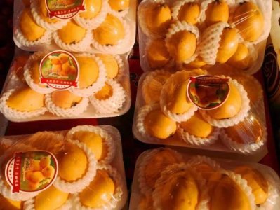 ​鲜见的白枇杷来了！细嫩、清甜、爽口，头鲜“三月白”提前10天上市，价格有点