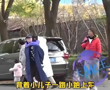 ​白百何突传消息，粉丝惊喜不已！