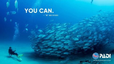 ​2020年潜水员专属壁纸，来了