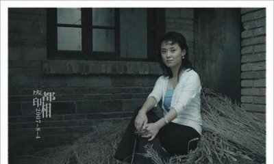 ​《废都》讲了什么故事(贾平凹的故事)