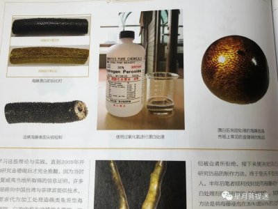 ​作假“金丝柳”的特征详谈