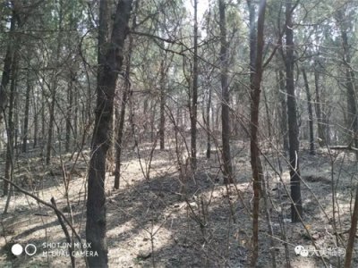 ​探秘临朐二龙山