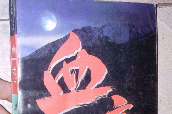 血恋简介(人物关系和剧情却很狗血)(1)_