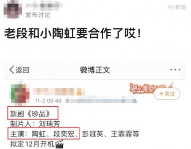 ​陶虹段奕宏合作的电影(网传段奕宏与小陶虹合作)