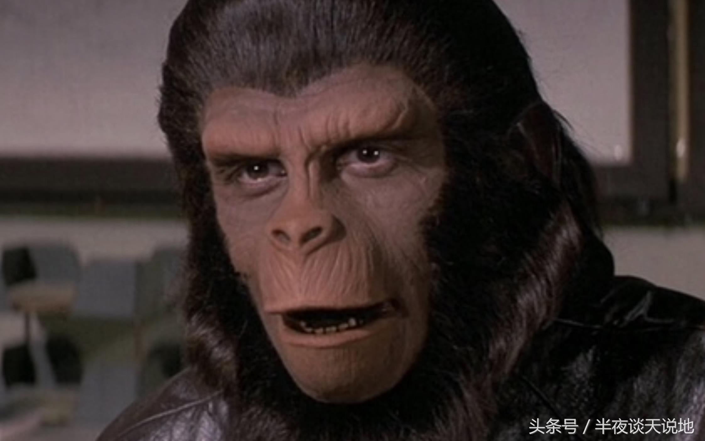 除了《猩球崛起》，还有这六部关于猩猩的电影