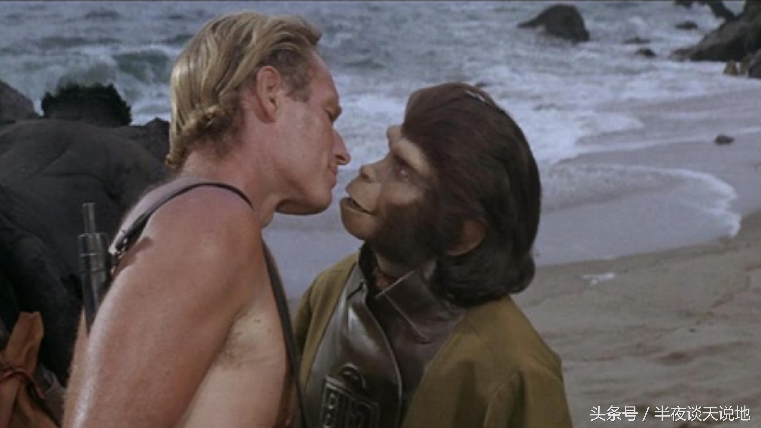 除了《猩球崛起》，还有这六部关于猩猩的电影