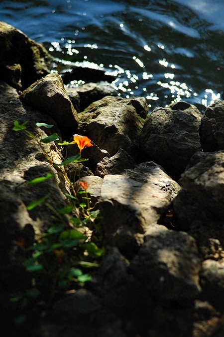 仙女遗落在人间的住处!杨丽萍在洱海边的月亮宫、太阳宫美呆了