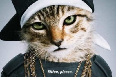 ​喵星人奥斯卡提名电影系列海报：萌出新高度