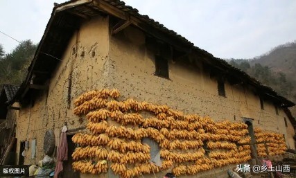 大叔没想到自己53岁找到了另一半,在大山里生活逍遥自在幸福美满