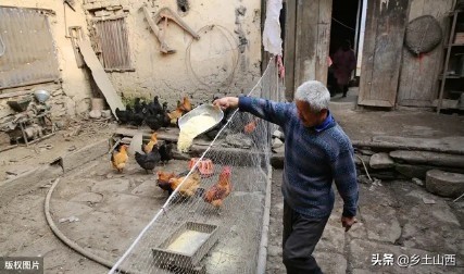 大叔没想到自己53岁找到了另一半,在大山里生活逍遥自在幸福美满