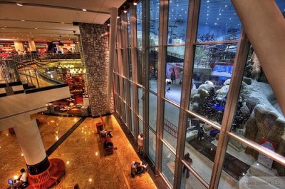 ​真土豪！看看在迪拜怎么玩