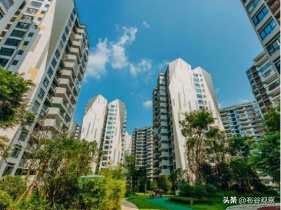 ​深圳“包租婆”，坐拥九栋楼月入160万，网友：必须一查到底