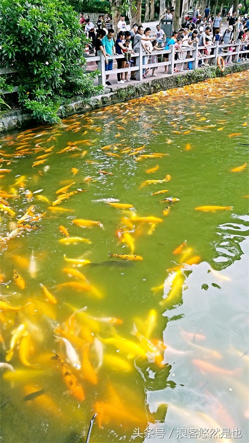 国家级AAAAA景区——广州市白云山风景名胜区，简约之美