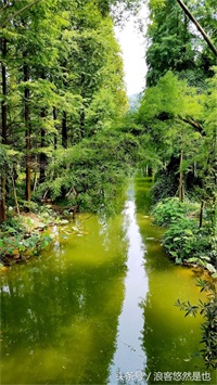 国家级AAAAA景区——广州市白云山风景名胜区，简约之美